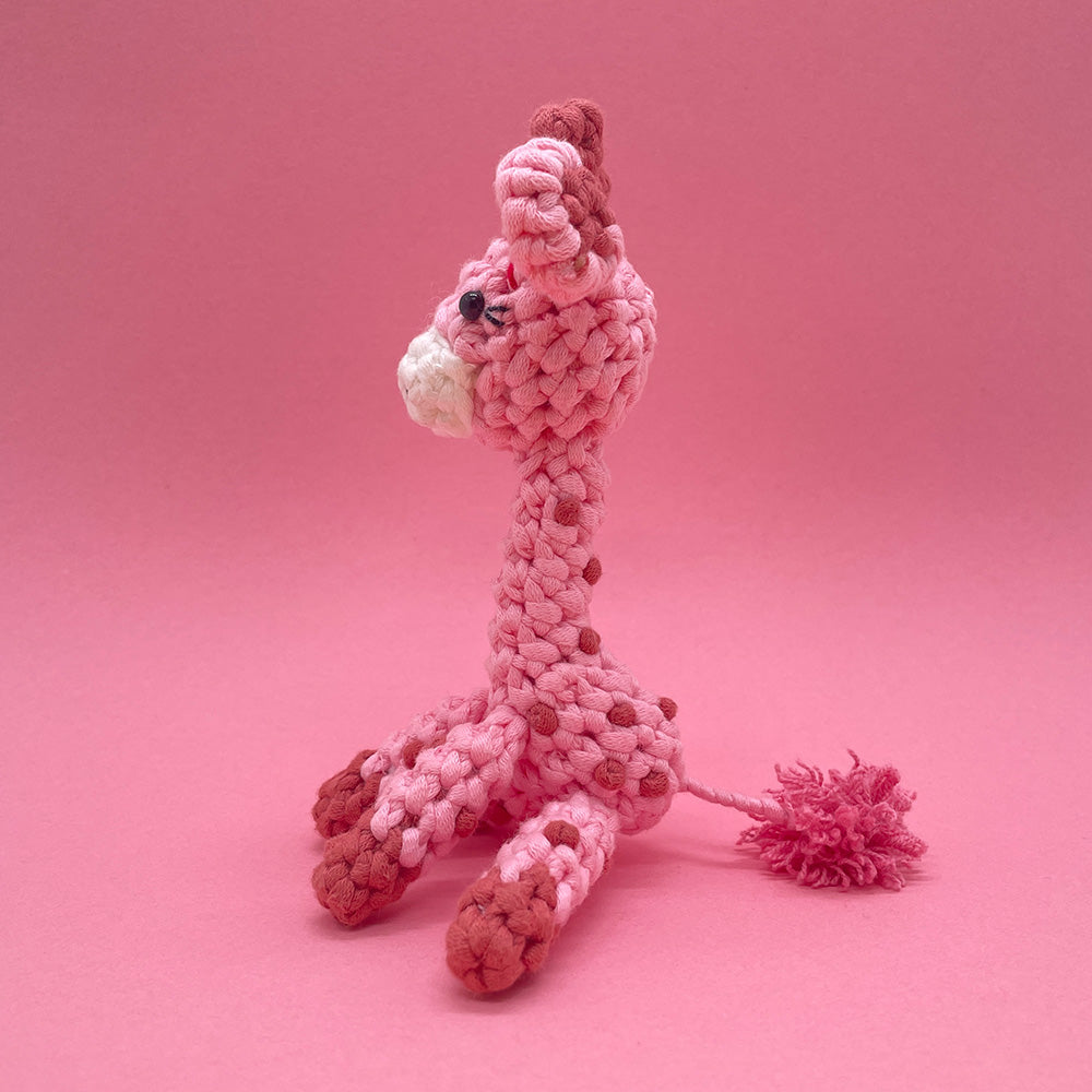 Giraffe Couple- Crochet Kit