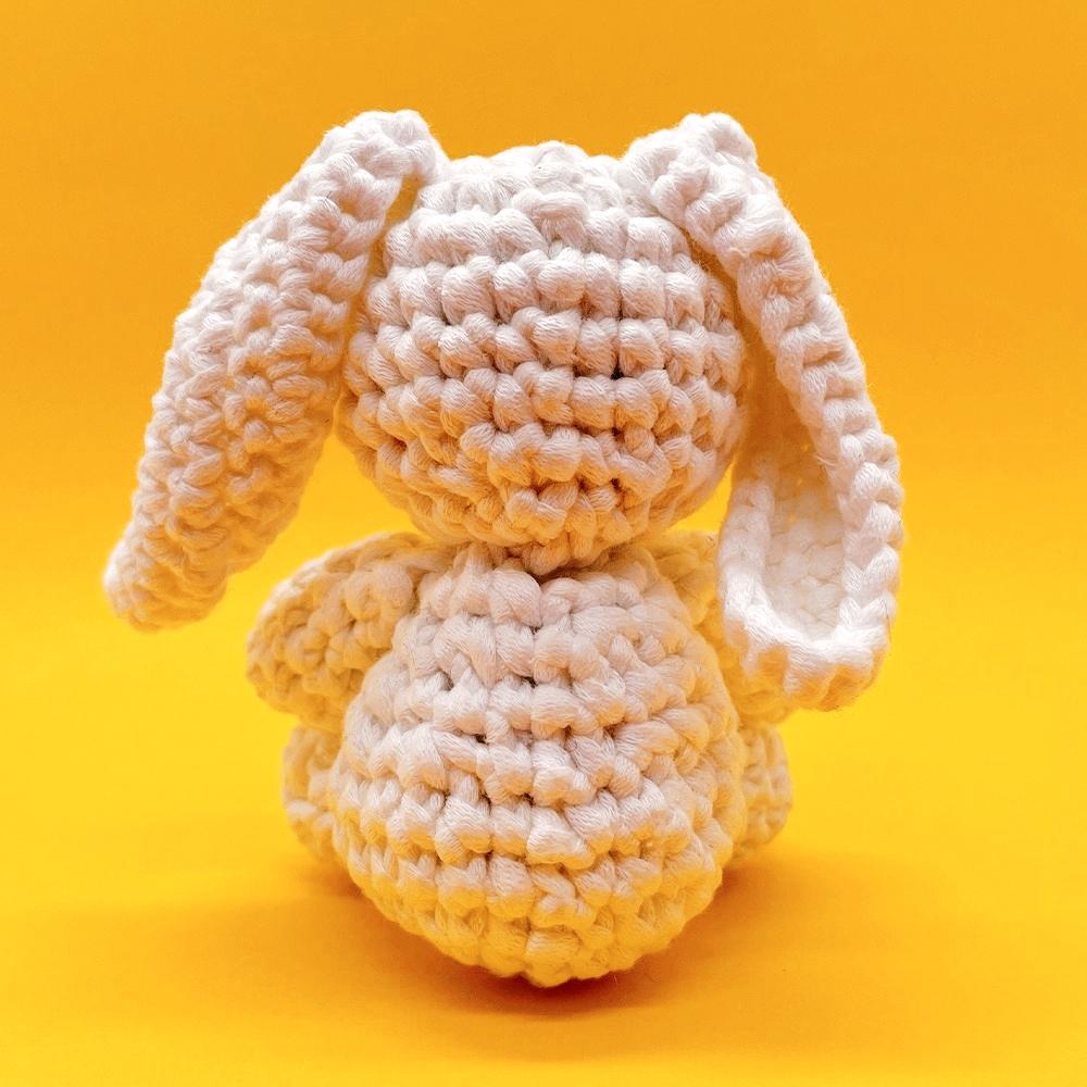 Bunny Couple - Crochet Kit