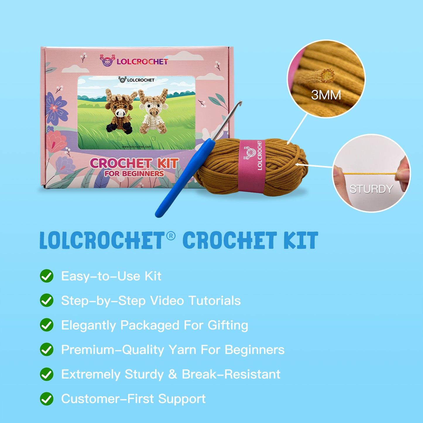 Christmas Ornaments - Crochet Kit