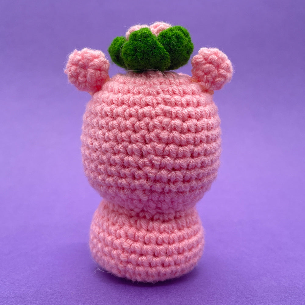 Hippo - Crochet Kit