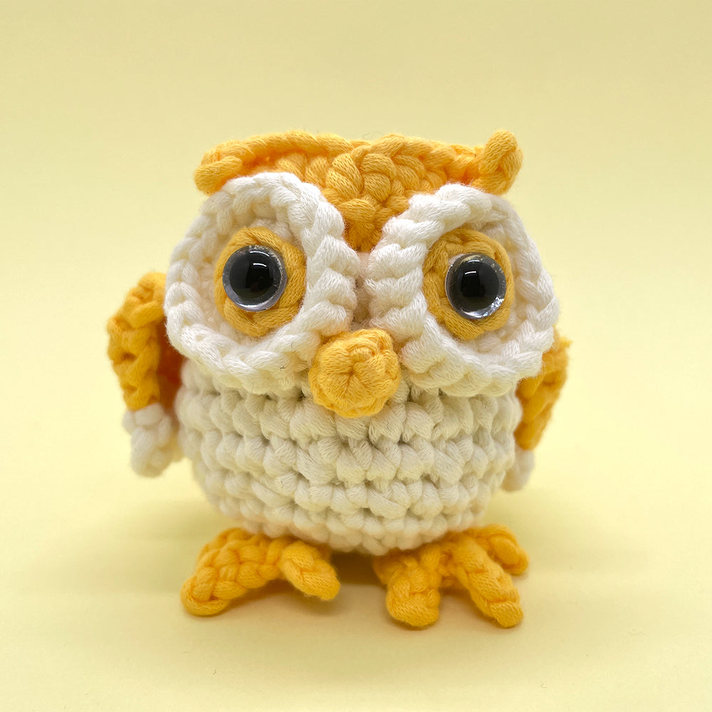 Owl Couple - Crochet Kit