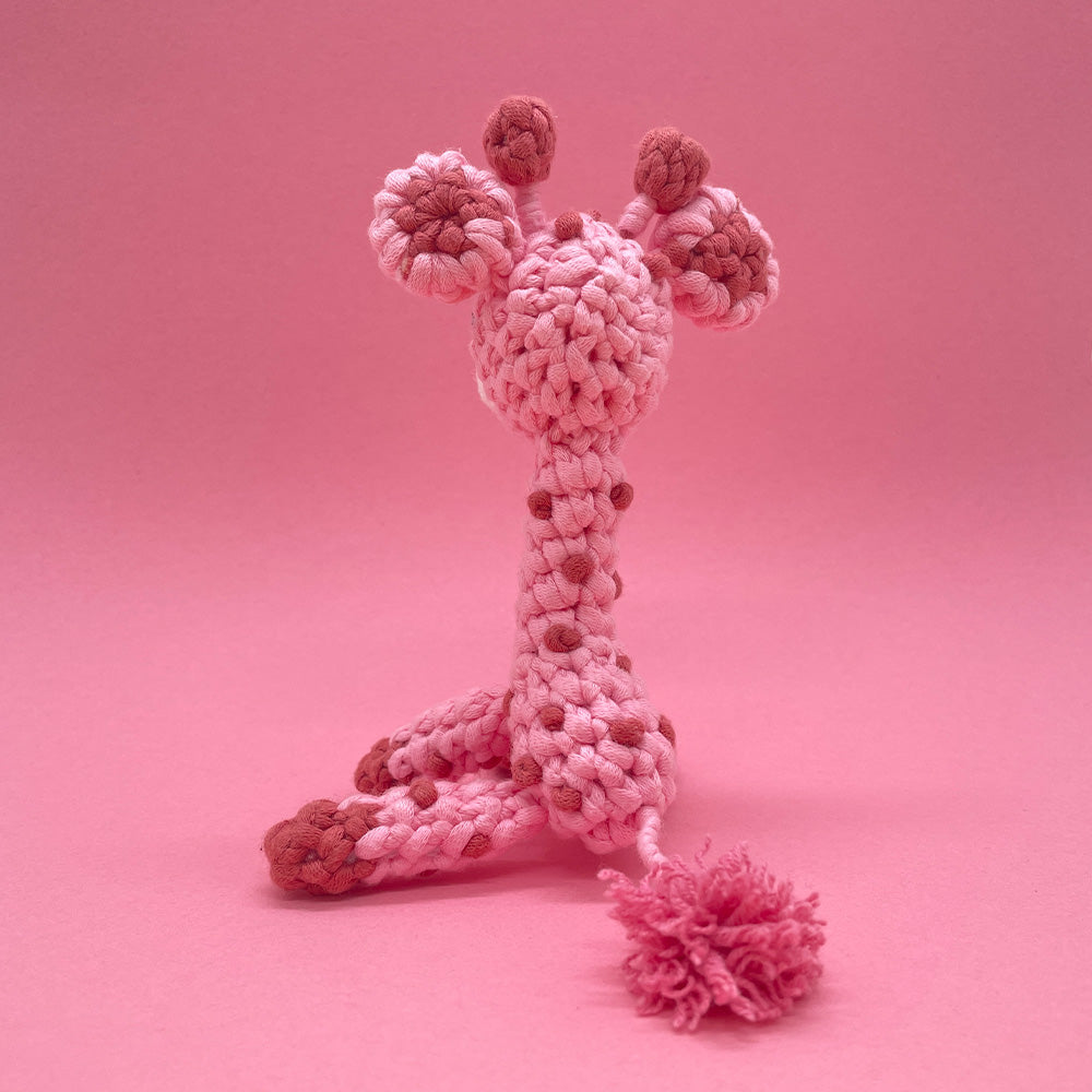 Giraffe Couple- Crochet Kit