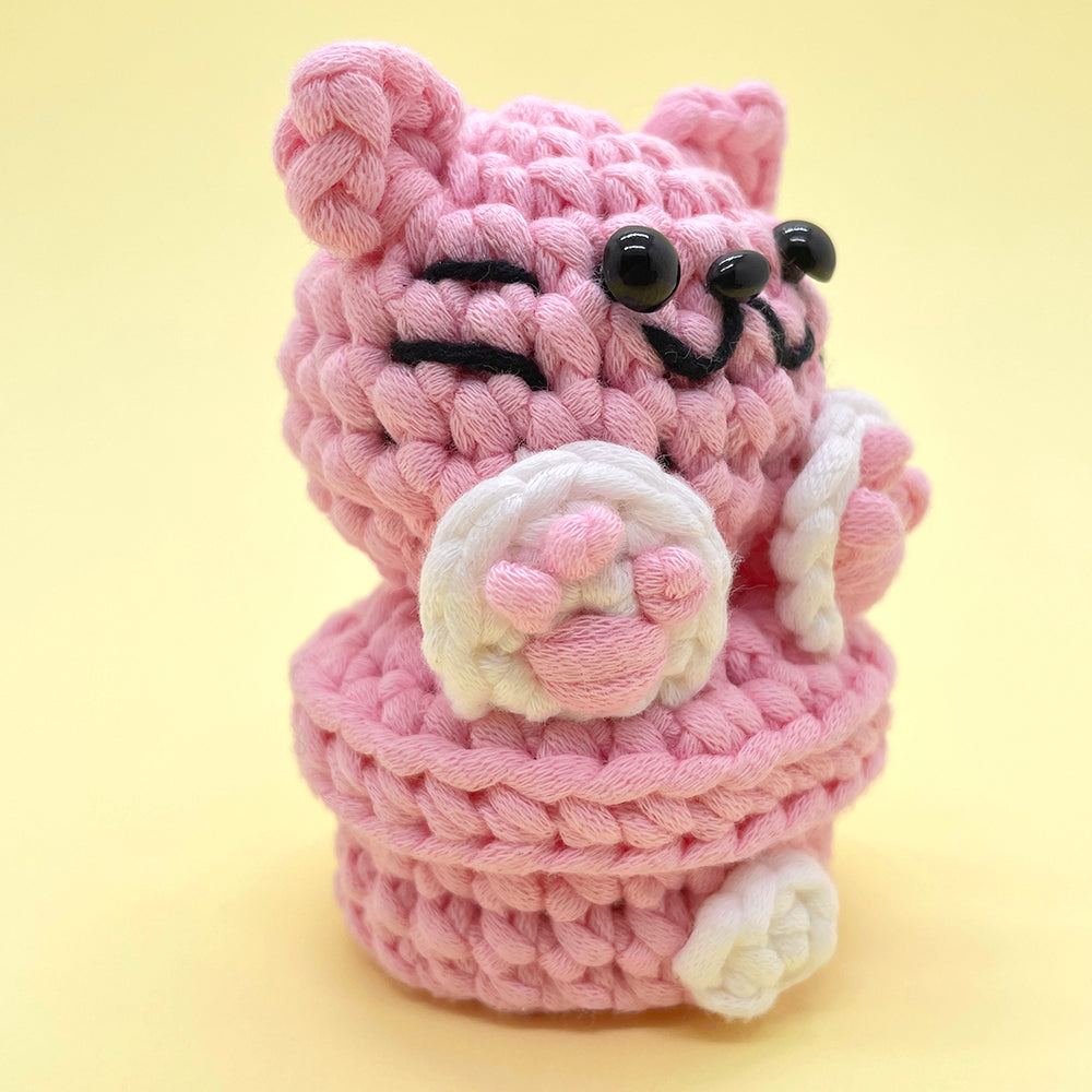 Cat Small Organizer - Crochet Kit